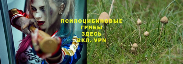 соль ск Михайловка