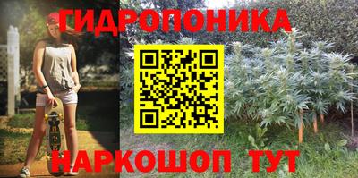 тгк Камышлов
