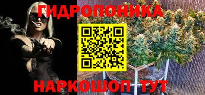 тгк Камышлов