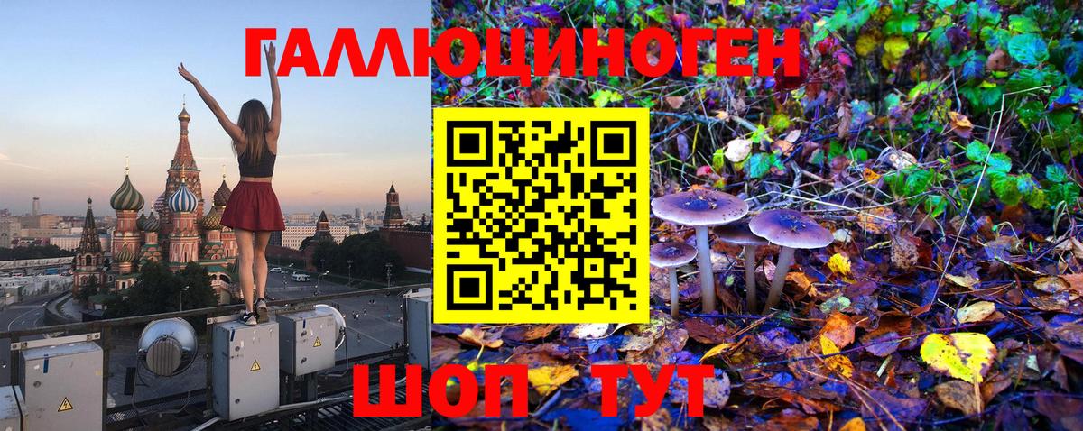 Истра  Псилоцибиновые грибы MAGIC MUSHROOMS  Вход с VPN 